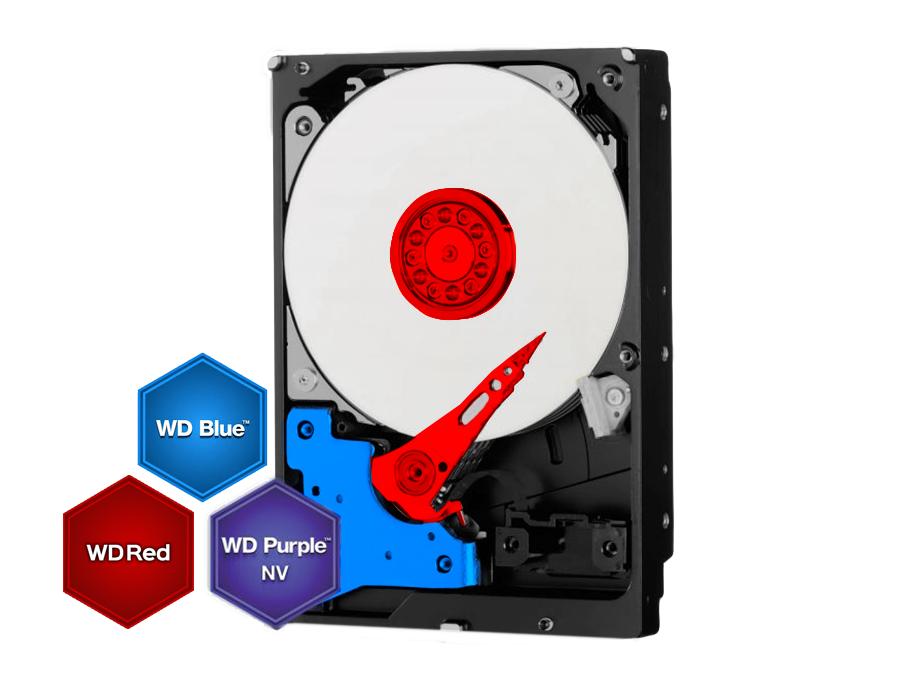 WD_IP_IS_wt